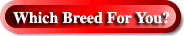 WhichBreedBottom